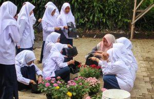 Menghijaukan Lingkungan SMP RUQ dengan Tamanisasi